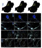 Flood Research Featured by NASA