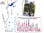 Surface Water and Connectivity Dynamics in a Global Biodiversity Hotspot