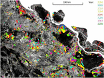 Remotely sensed forest cover loss shows high spatial and temporal variation across Sumatera and Kalimantan, Indonesia 2000–2008