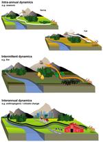 Understanding the Importance of Dynamic Landscape Connectivity